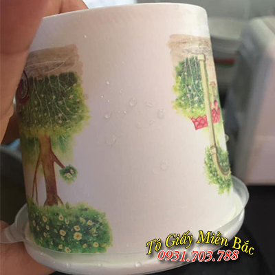 cốc giấy2 PE