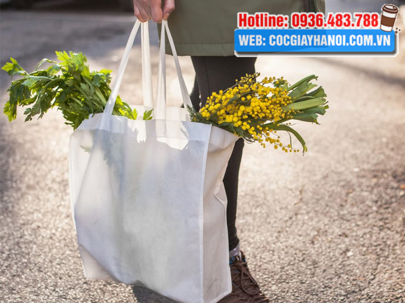 Túi vải đựng thực phẩm đi chợ